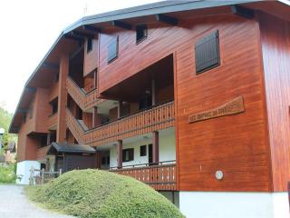 Charmant duplex lumineux, 4 pers, animaux acceptés - FR-1-692-114 - 2