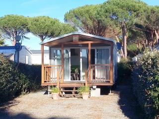 Mobil Home 4 Pers avec Terrasse à Roquebrune-sur-Argens - API-1-52-911 - 0