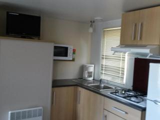 Mobil home 25m² avec terrasse à Roquebrune-sur-Argens - API-1-52-885 - 9