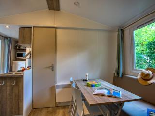 Mobil home confortable avec rampe d'accès - 4 personnes - API-1-52-921 - 8