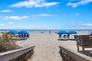 WS5127: 5127 Windswept - 4