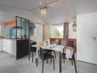 Mobil home 28m² à Saint-Rome-de-Tarn - Terrasse - API-1-52-943 - 9