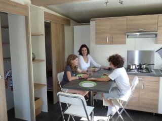 Chalet avec Terrasse à Soubès - Accès Handicapé - API-1-52-955 - 8