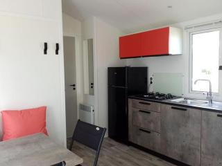 Mobil-home avec terrasse à Tréguennec - API-1-52-963 - 9