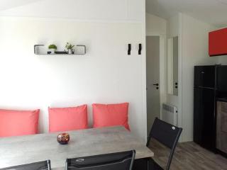 Mobil-home avec terrasse à Tréguennec - API-1-52-963 - 7