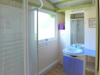 Chalet 35m² avec Terrasse à Soubès - API-1-52-979 - 6