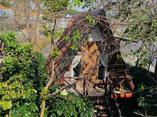 September Garden Homestay - 7