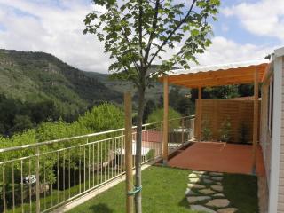 Mobil-home 28m² avec terrasse à Saint-Rome-de-Tarn - API-1-52-993 - 0