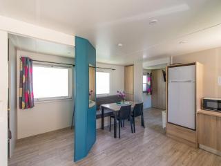 Mobil-home PMR avec Terrasse à Saint-Rome-de-Tarn - API-1-52-1012 - 5