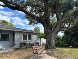 CASA SOLÉ, South Tampa - 7