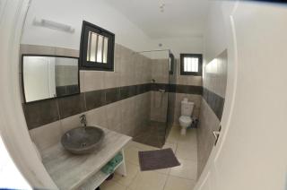 Les Zamours Des Lianes - 4