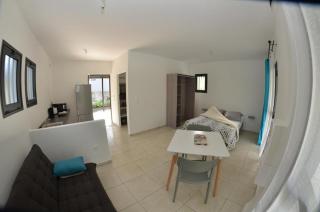 Les Zamours Des Lianes - 2