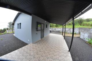 Les Zamours Des Lianes - 1