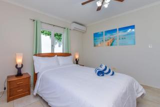 Salinja Paradise Villa - Palm-Eagle Beach - 1