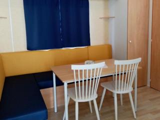 Mobil-home confortable avec terrasse pour 4 personnes à Tréguennec - API-1-52-1029 - 8