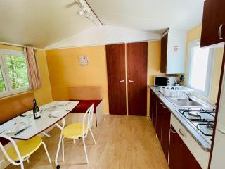 Mobil-home 3 pièces avec terrasse à Camon - API-1-52-1043 - 8