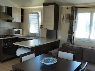 Mobil home avec terrasse à Roquebrune-sur-Argens - API-1-52-1046 - 8