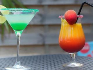 Mobil-home à Saint-Lunaire avec Terrasse et Cuisine équipée - API-1-52-1052 - 1