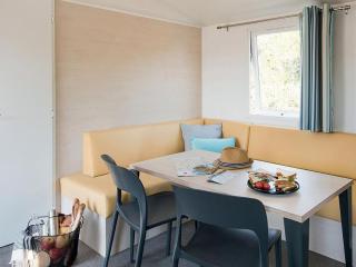 Mobil Home sur Pilotis - Terrasse - API-1-52-1058 - 5