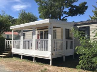 Spacieux Mobil-home 40m² avec terrasse - API-1-52-1094 - 0