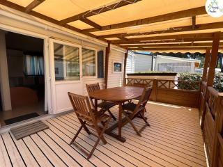 Mobil home avec Terrasse à Roquebrune-sur-Argens - API-1-52-1106 - 8