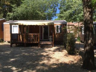 Mobil-home avec Terrasse à Salavas - API-1-52-1151 - 9