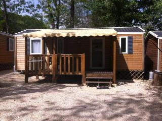 Mobil-home avec Terrasse à Salavas - API-1-52-1151 - 7