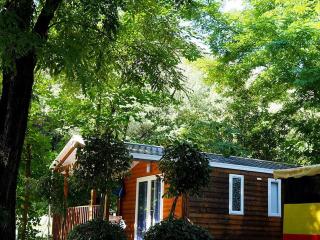 Mobil-home 32m² à Salavas avec Terrasse, pour 5 personnes - API-1-52-1180 - 9