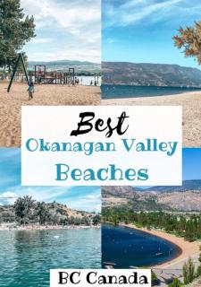 Stylish and cozy private guesthouse - 3