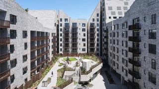 Urban Oasis in Rosebery - 0