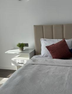 Трехкомнатная квартира комфорт класса в Алматы - 6