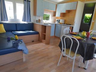 Mobil home avec terrasse pour 4 personnes à Saint-Lunaire - API-1-52-1190 - 8