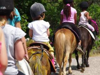 Mobil home avec terrasse pour 4 personnes à Saint-Lunaire - API-1-52-1190 - 1