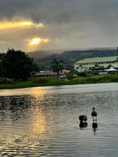 Rainbow Ohana, unit 2 - 2