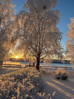 The Riverside Escape - 6