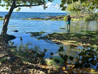 Rainbow Ohana, unit 2 - 7