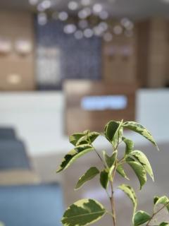 Season Inn Hotel - 4