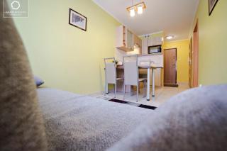 Apartament Grey w spokojnej okolicy - 7