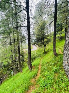 Huts nathia Gali - 4