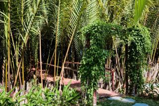 La Casa de Song Anh - Serenity & Amity - 7