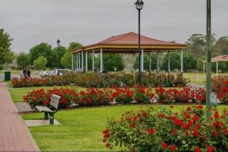 Brand New Home with Pool - 6