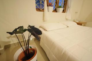 Thulir Homestay - 2Br Gr with Kitchen & Garden - 8