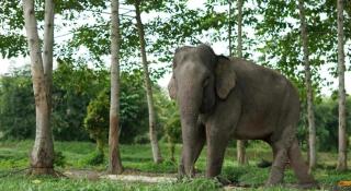 Hotel O Nayla Homestay Syariah Near Koro Koro Panam, Karaoke, Pool, & Cafe - 2