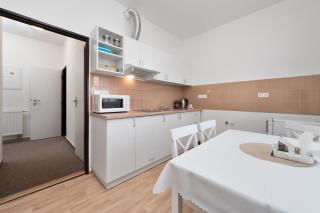 Apartmán U Dubu - 9