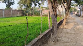 Tiny Residence with a small backyard Jacuzzi pool - 8
