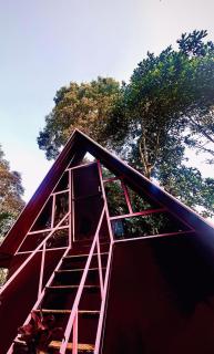 Happy Feet Wayanad - 0