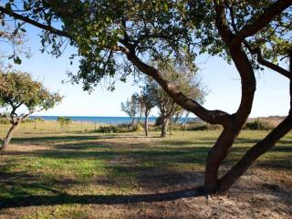 Delightful Villa at Moriani-Plage with Garden - 4