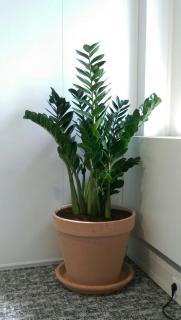 Boutique Saigon 16 - 3