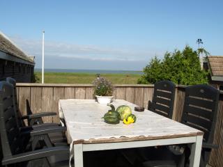 De iisfugel - Gaast - 2