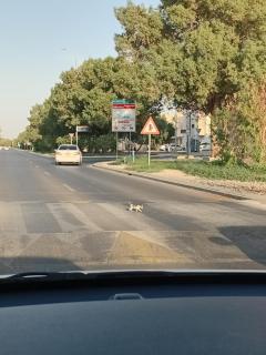 MK House bed space - 2